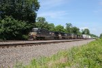 NS 4357 leads train 21M West at MP116